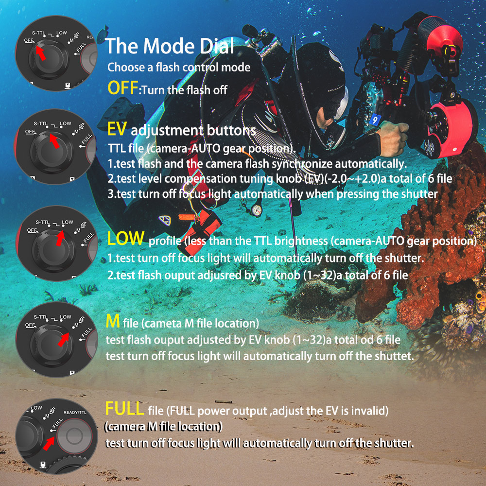 Seafrogs ST-100 Pro Underwater - đánh giá và giá Photography Lighting Brands
